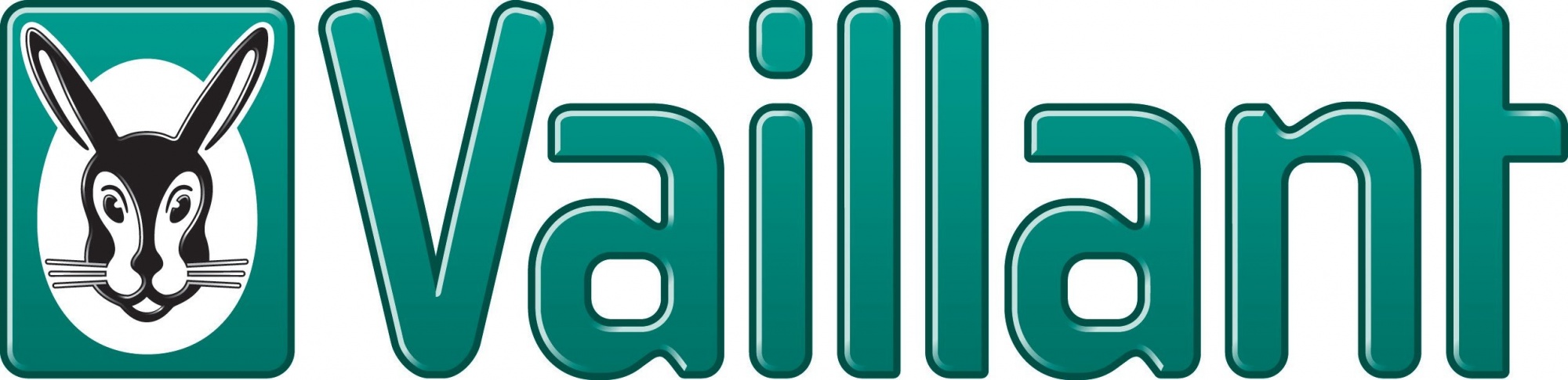 Vaillant Vaillant